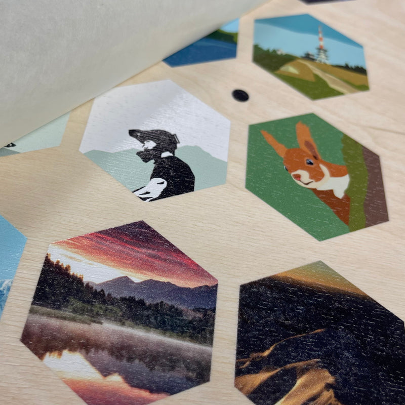 Verschiedene sechseckige Foto-Drucke auf Pappelsperrholz mit lebendigen Farben und detailreicher Darstellung, darunter eine Landschaft, ein Tiermotiv und eine stilisierte Illustration.