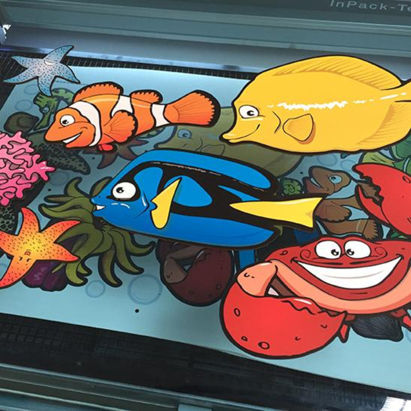 Displaykarton DISPA - vis24druck