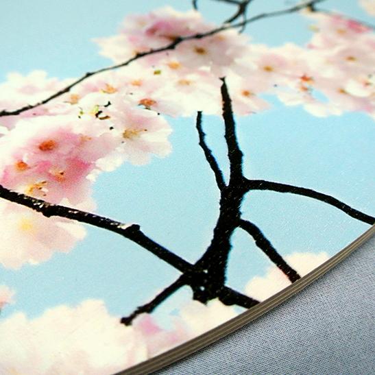 Nahaufnahme eines hochwertigen Foto-Drucks auf Holz mit einem Motiv von blühenden Kirschblüten vor blauem Himmel.