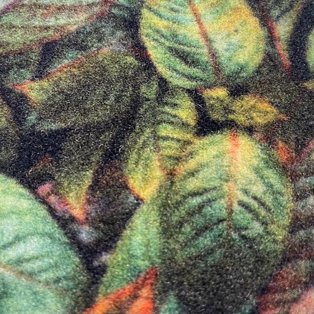 Logomatten und Teppichboden – Point of Sales - vis24