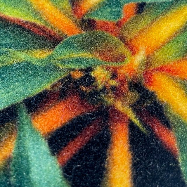 Logomatten und Teppichboden – Point of Sales - vis24